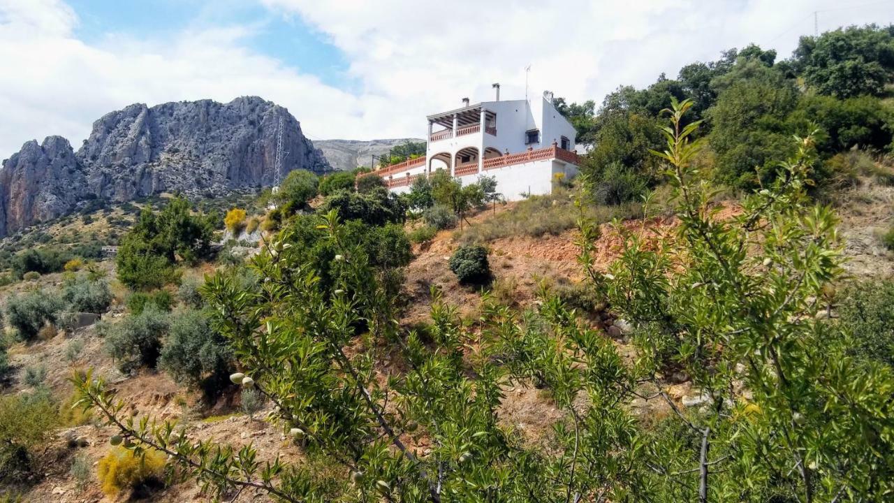 Casa Encina - Encinasola Turismo Rural. Alora Dış mekan fotoğraf