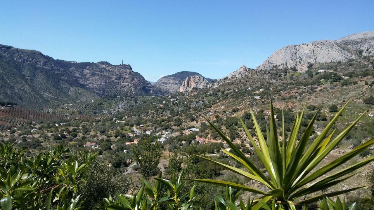 Casa Encina - Encinasola Turismo Rural. Alora Dış mekan fotoğraf