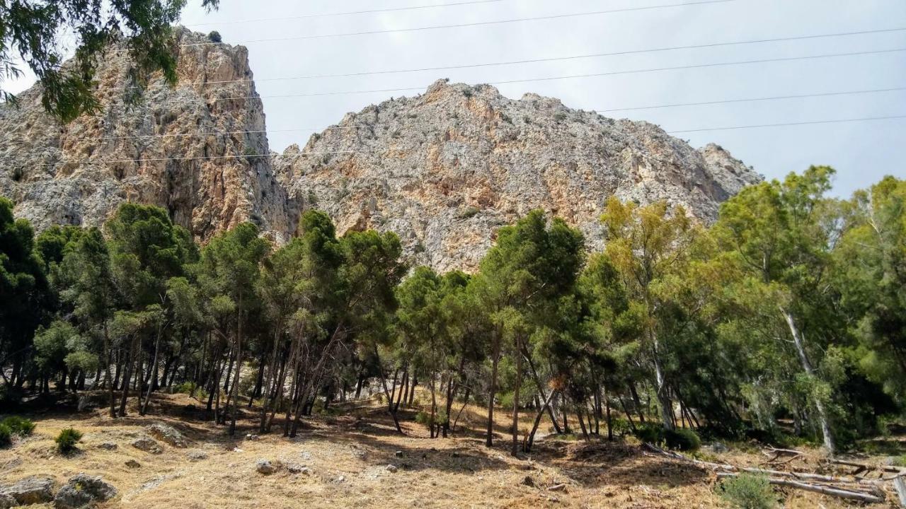 Casa Encina - Encinasola Turismo Rural. Alora Dış mekan fotoğraf