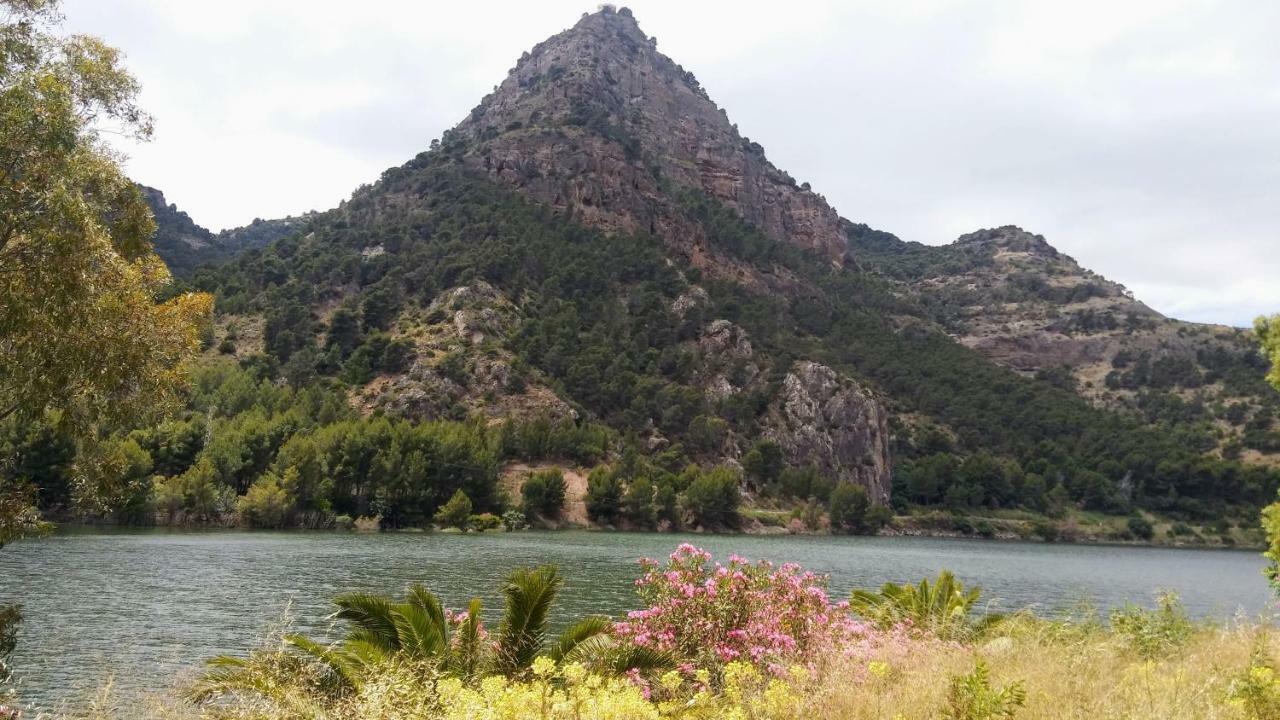 Casa Encina - Encinasola Turismo Rural. Alora Dış mekan fotoğraf