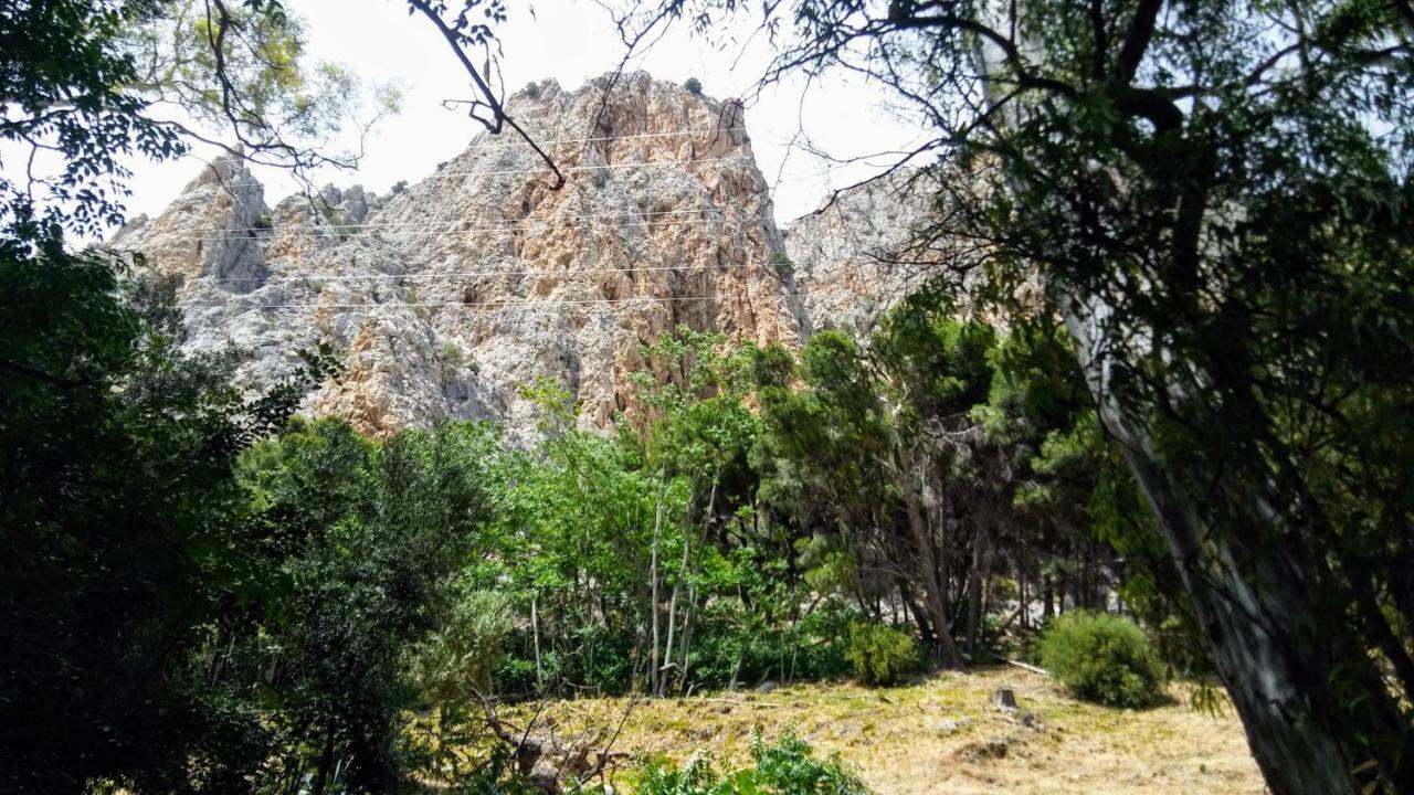 Casa Encina - Encinasola Turismo Rural. Alora Dış mekan fotoğraf